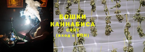 крисы Наволоки