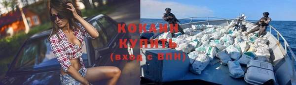 крисы Наволоки