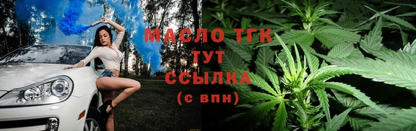 спайс Заречный