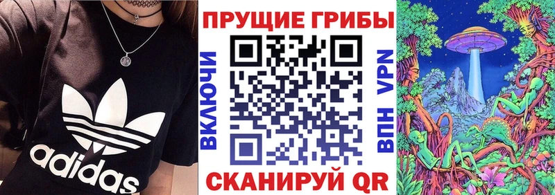 Галлюциногенные грибы Psilocybine cubensis блэк спрут вход Карачев