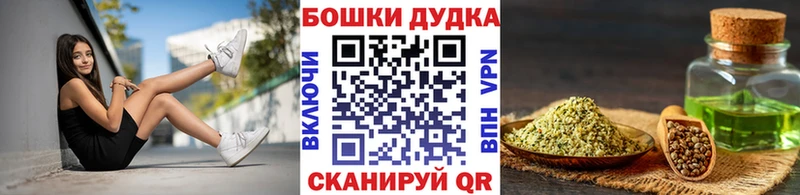 Канабис план  купить   Карачев 